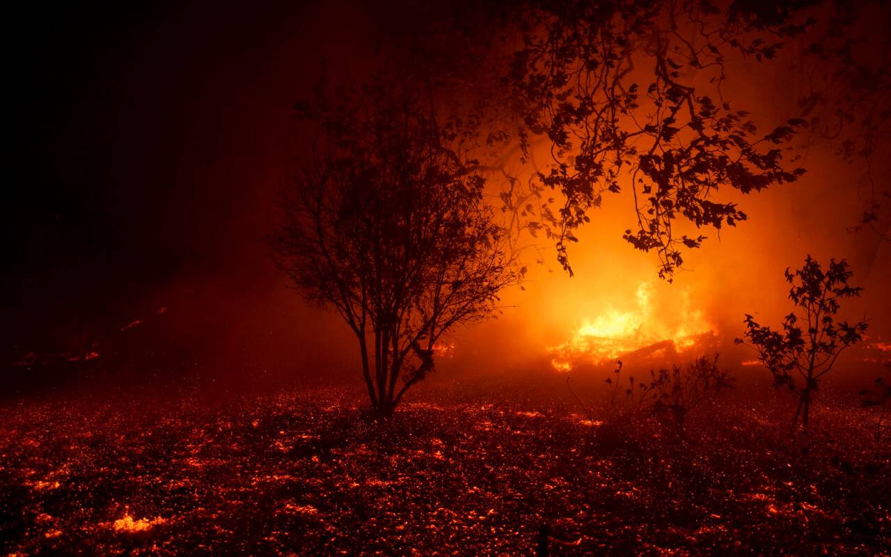 Der Waldbrand "Franklin Fire" hat ein Haus in Flammen gesetzt.