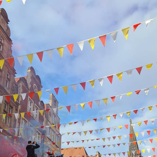 Ein Foto vom Münsteraner Prinzipalmarkt an Rosenmontag. Viele verkleidete Menschen bejubeln einen bunten Karnevalswagen.
