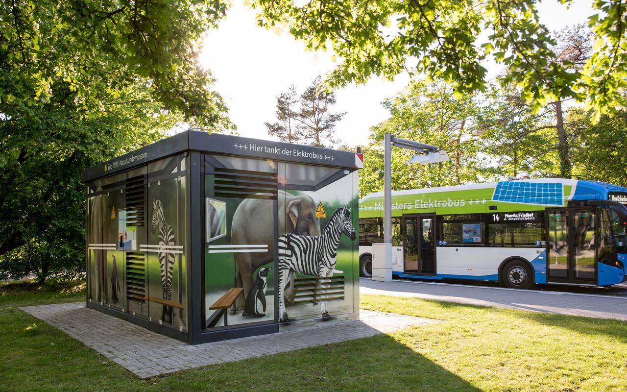 Die Linien 2, 10, 14 und 17 fahren an Schultagen wieder in ihrem regulären Takt. Hier fährt die 14 gerade von der Endhaltestelle am Zoo ab.