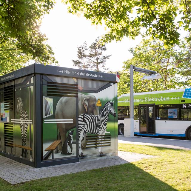 Die Linien 2, 10, 14 und 17 fahren an Schultagen wieder in ihrem regulären Takt. Hier fährt die 14 gerade von der Endhaltestelle am Zoo ab.