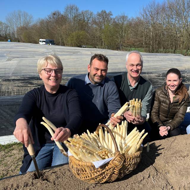 Fünf Menschen stechen Spargel