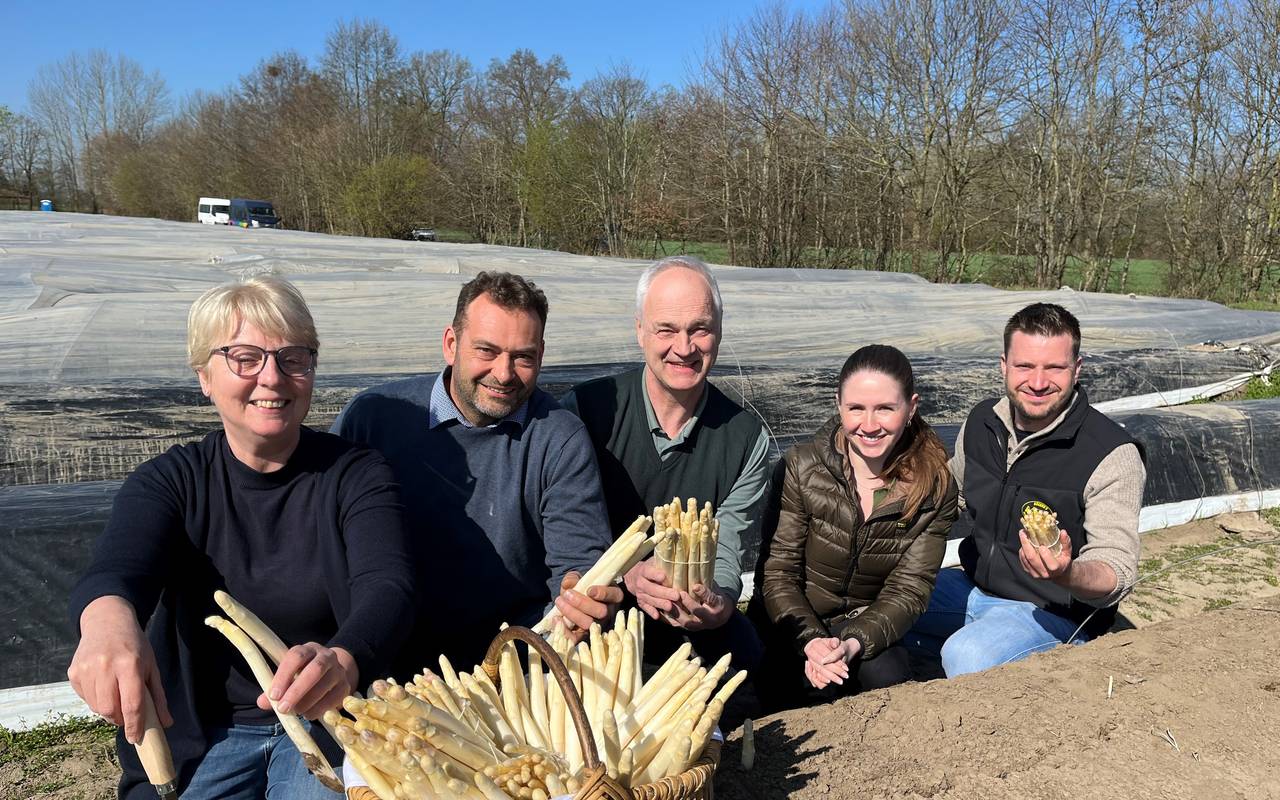 Fünf Menschen stechen Spargel