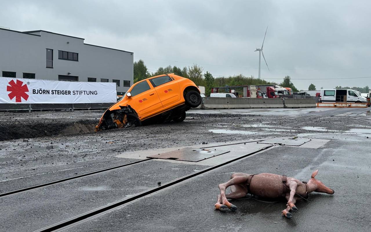 Auf dem Bild sieht man ein anfahrendes Reh und ein verunfalltes Auto