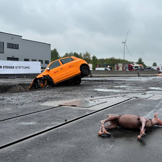 Auf dem Bild sieht man ein anfahrendes Reh und ein verunfalltes Auto