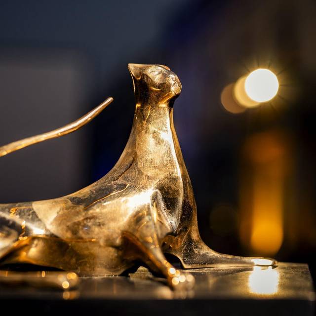 78. Internationales Filmfestival Locarno