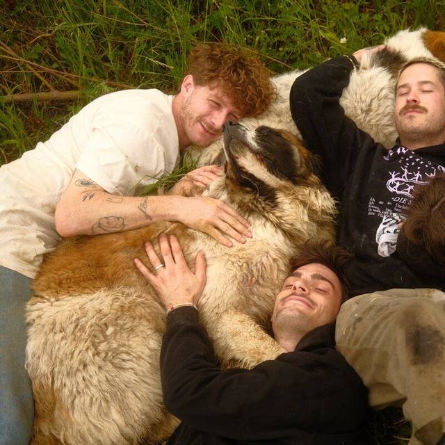 Malte Zierden, Hubertus Zeck, Broder Böll, Phia Quantius.