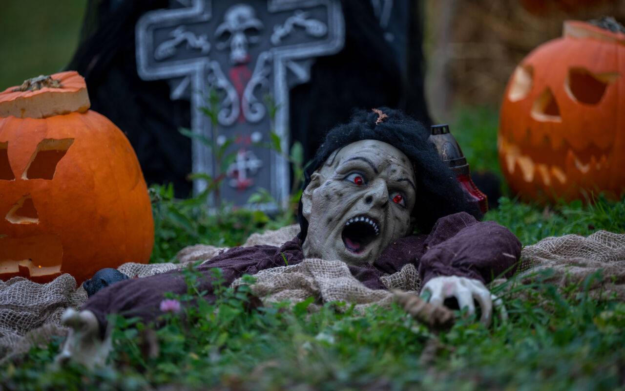 Eine Halloween-Figur scheint zwischen Kürbissen aus der Erde emporzukriechen.