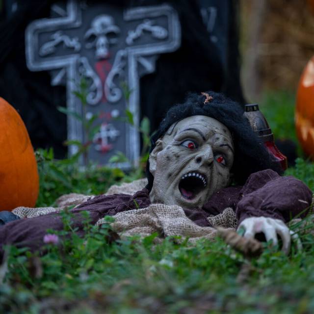 Eine Halloween-Figur scheint zwischen Kürbissen aus der Erde emporzukriechen.