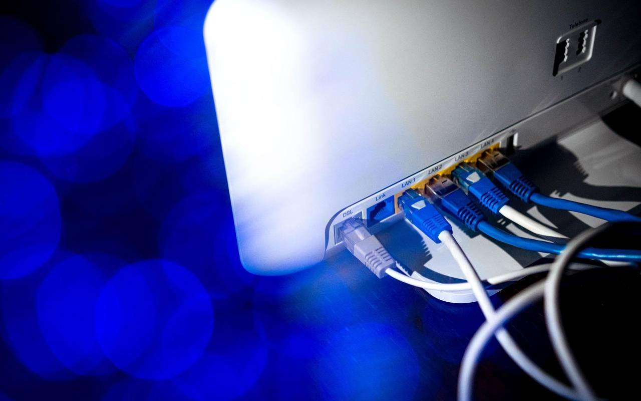 Netzwerkkabel (LAN-Kabel) stecken in einem Router