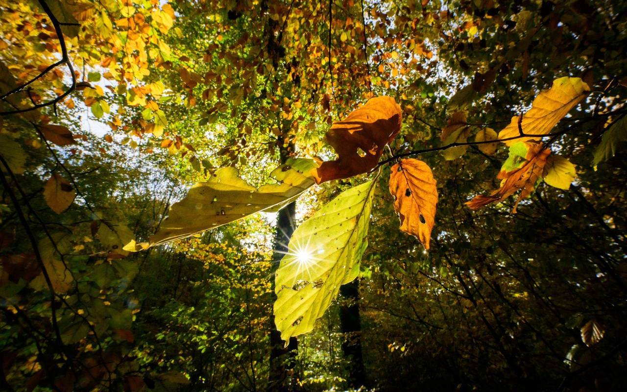 Sonniges Wetter in Niedersachsen
