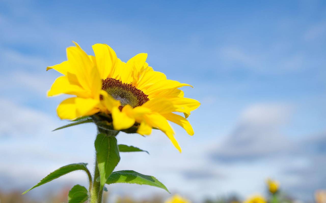Bis zu 20 Grad am Donnerstag