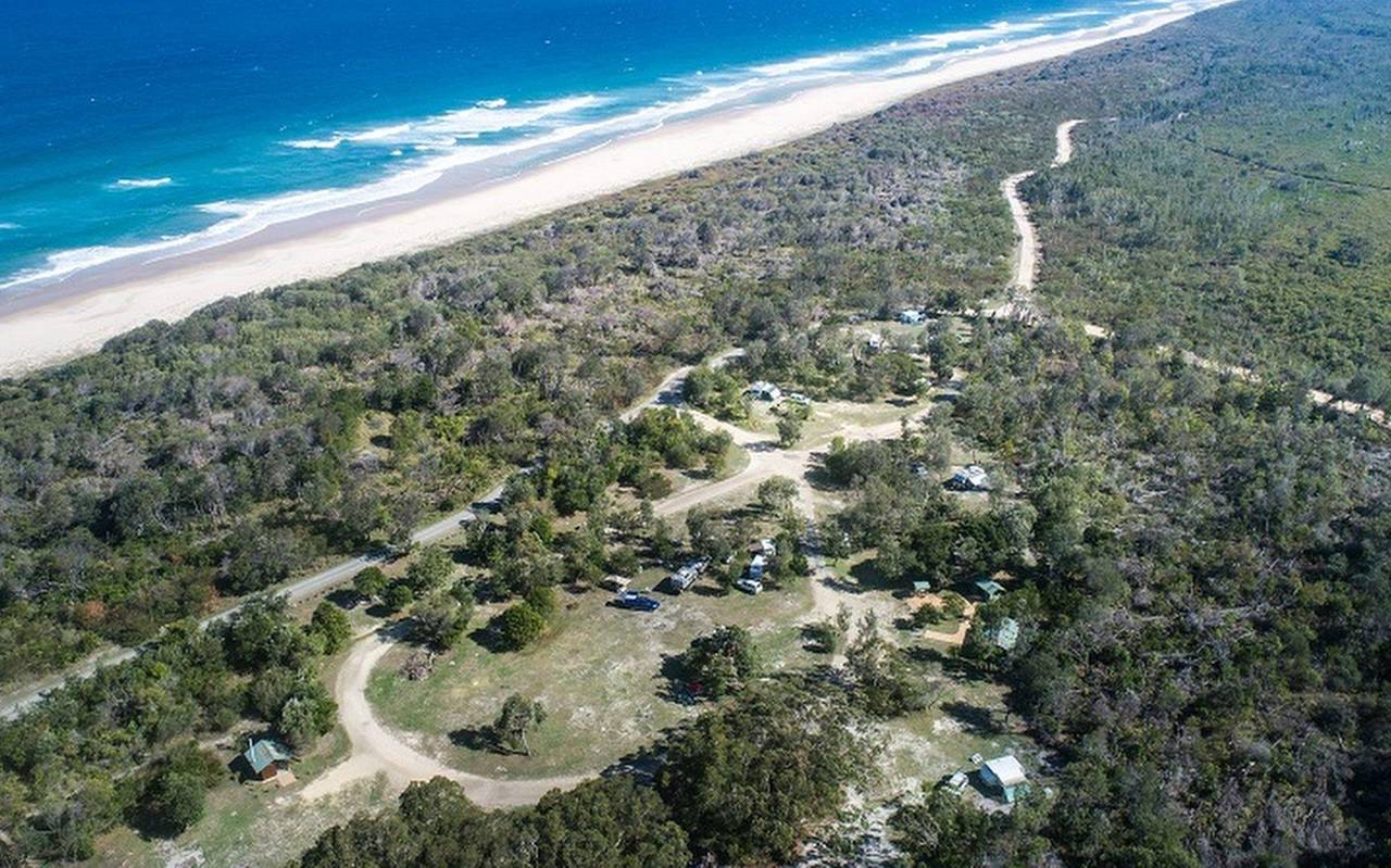 Haiattacke in Australien