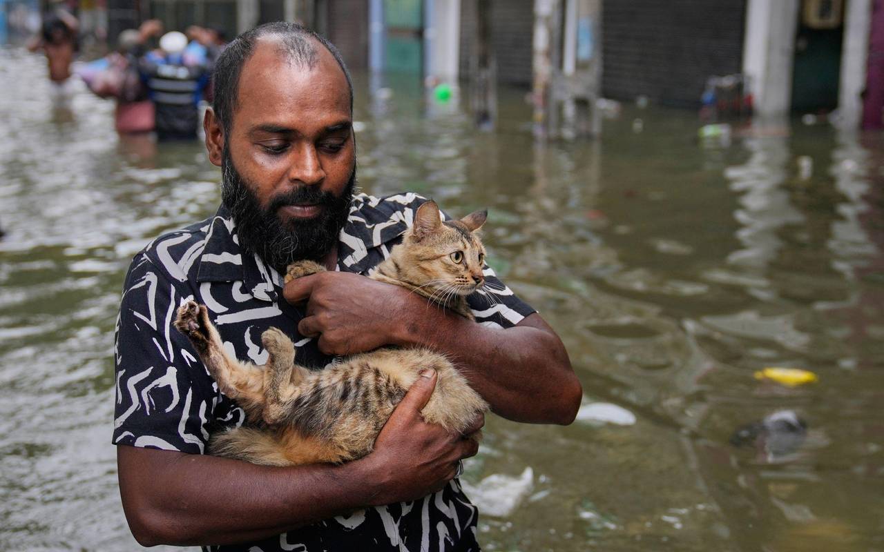 Überschwemmungen in Sri Lanka