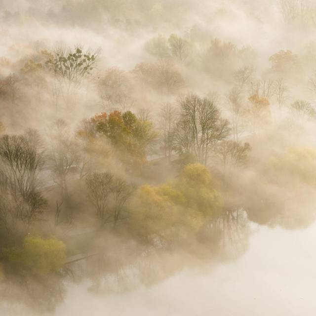Nebelfelder liegen zwischen Bäumen am Maschsee