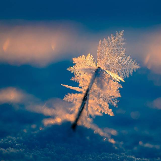 Eisiger Wintermorgen