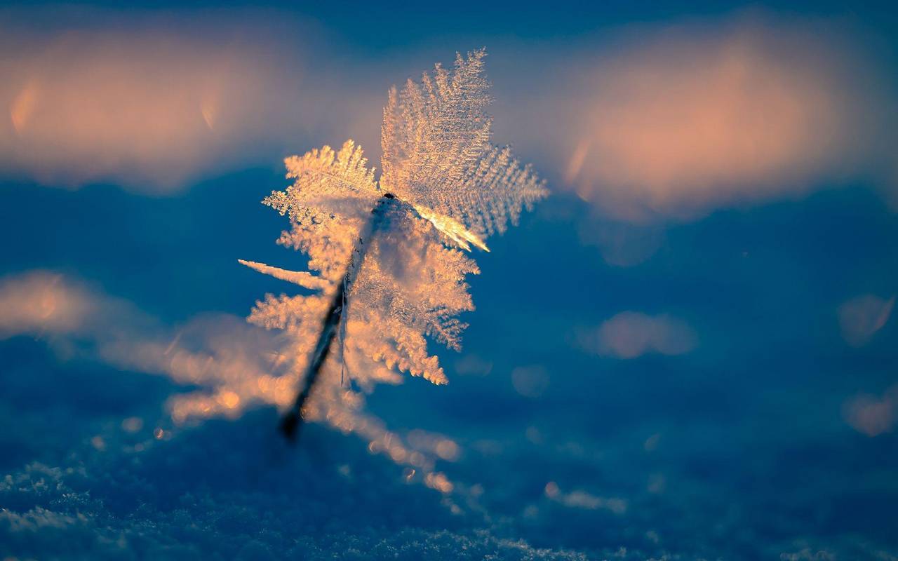 Eisiger Wintermorgen