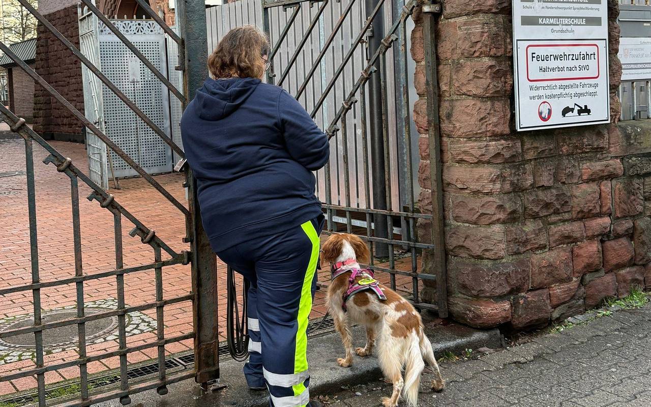 Suche nach achtjährigem Jungen in Frankfurt