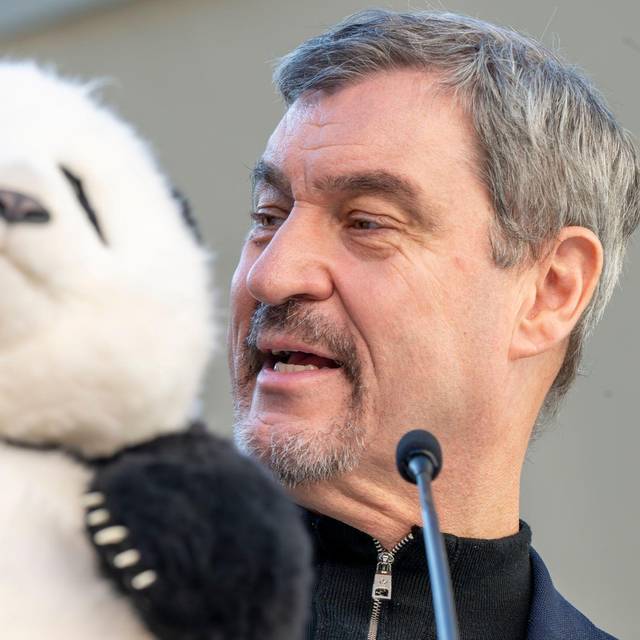 Panda-PK im Tierpark Hellabrunn