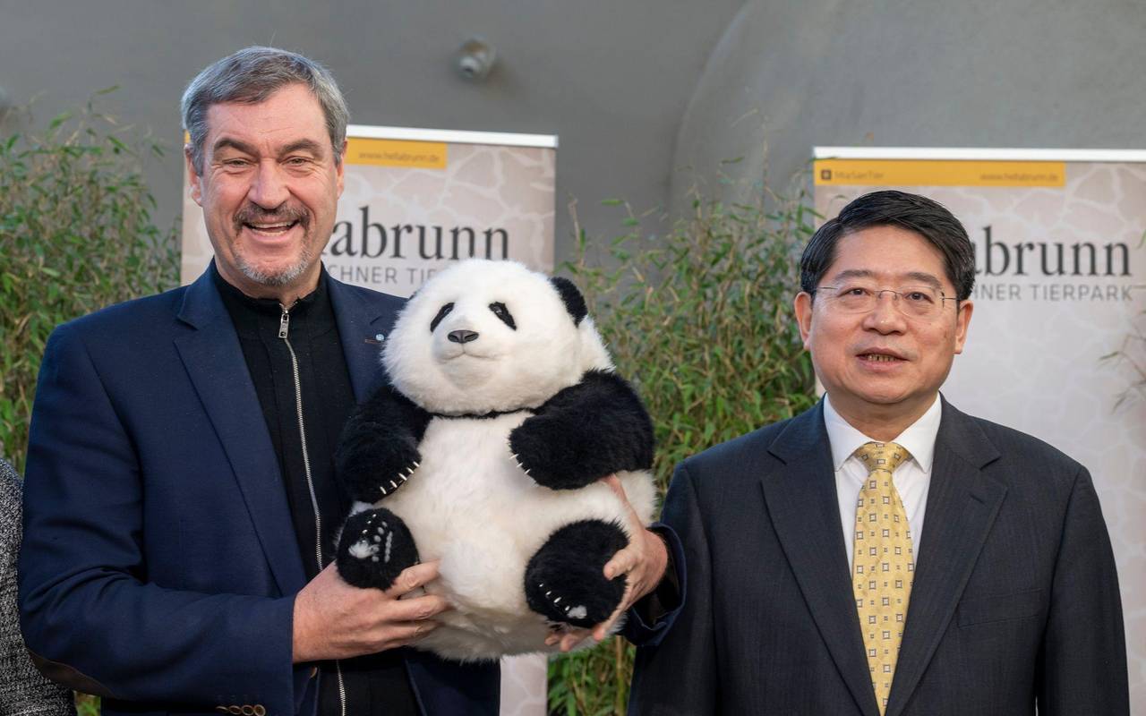 Panda-PK im Tierpark Hellabrunn