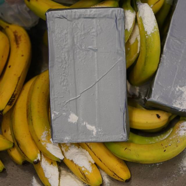Weißes Pulver, das Kokain darstellen soll, liegt neben Bananen.