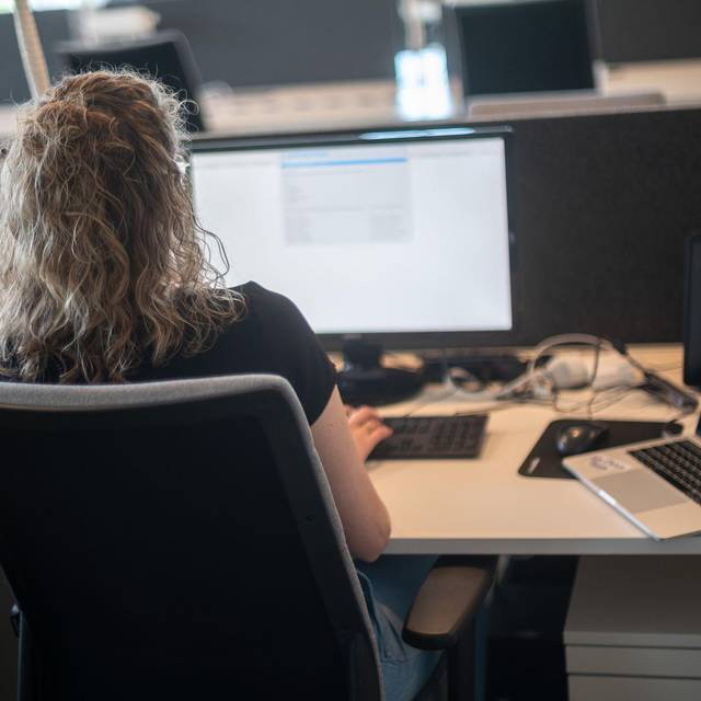 Eine Frau sitzt am Schreibtisch vor einem Bildschirm