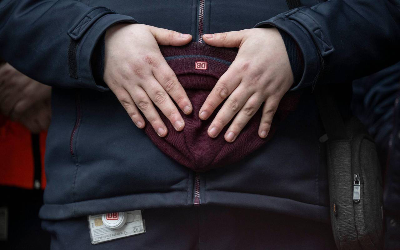 Zugbegleiter stirbt nach Angriff bei Ticketkontrolle