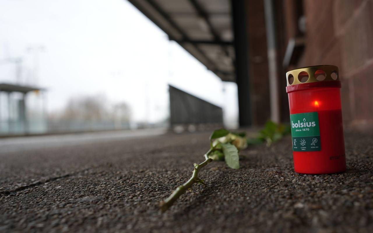 Zugbegleiter stirbt nach Angriff bei Ticketkontrolle