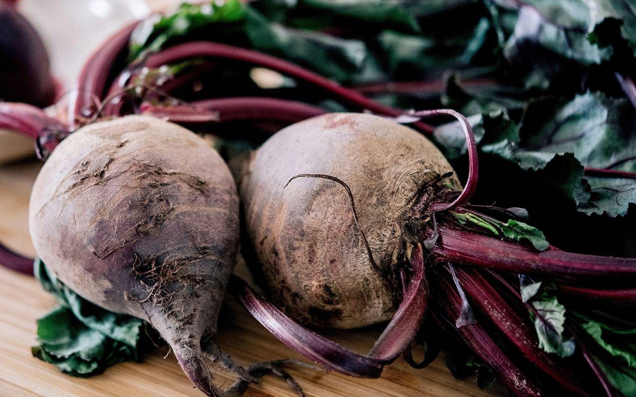 Frische Rote Bete liegt in einer Küche