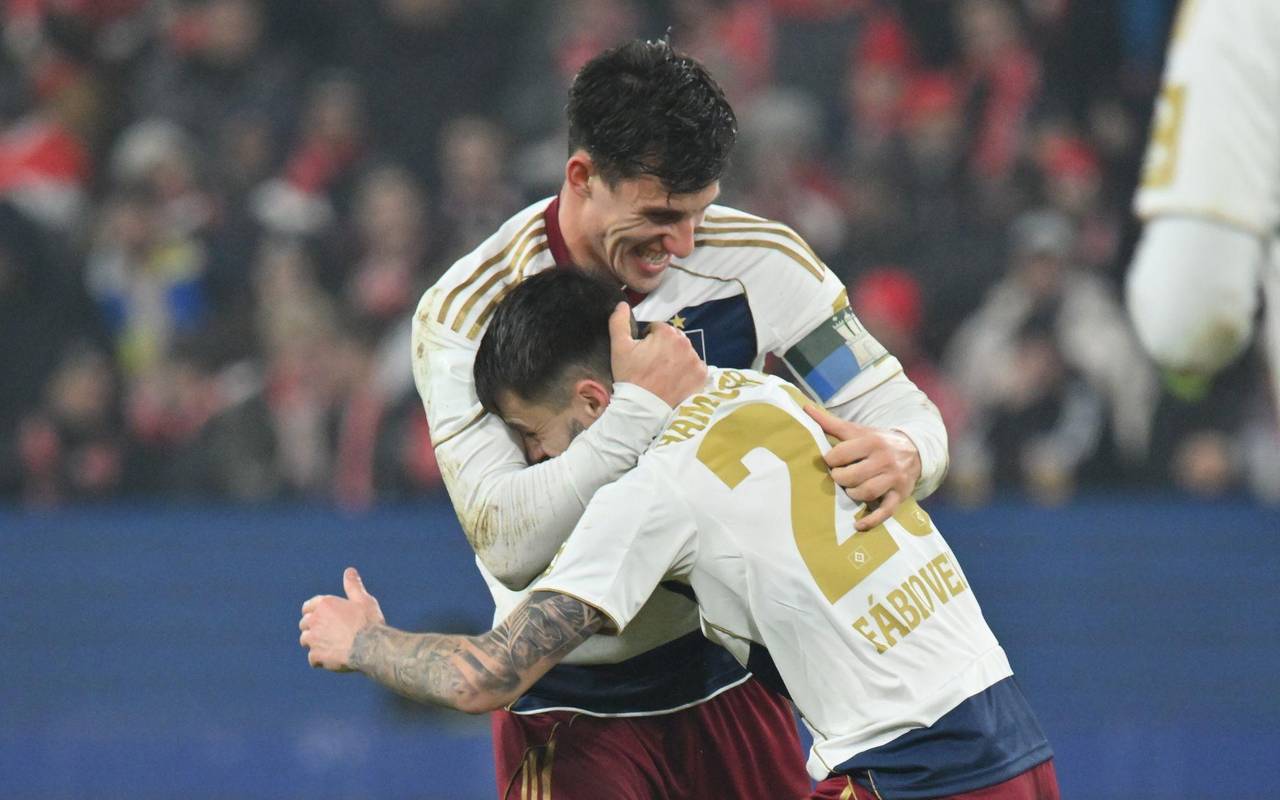 FSV Mainz 05 - Hamburger SV