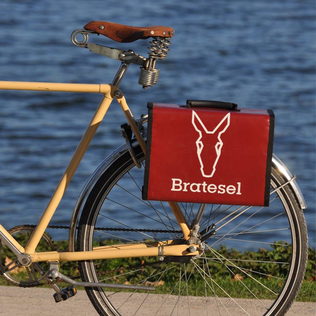 ortlieb fahrradtasche ash rose | Twin City Urban | Gepäcktasche Urban Ausführung:Complete-100 Elektro Klapprad mit 250 Category:Fahrräder 20 Zoll bis 24 Zoll_13 kg