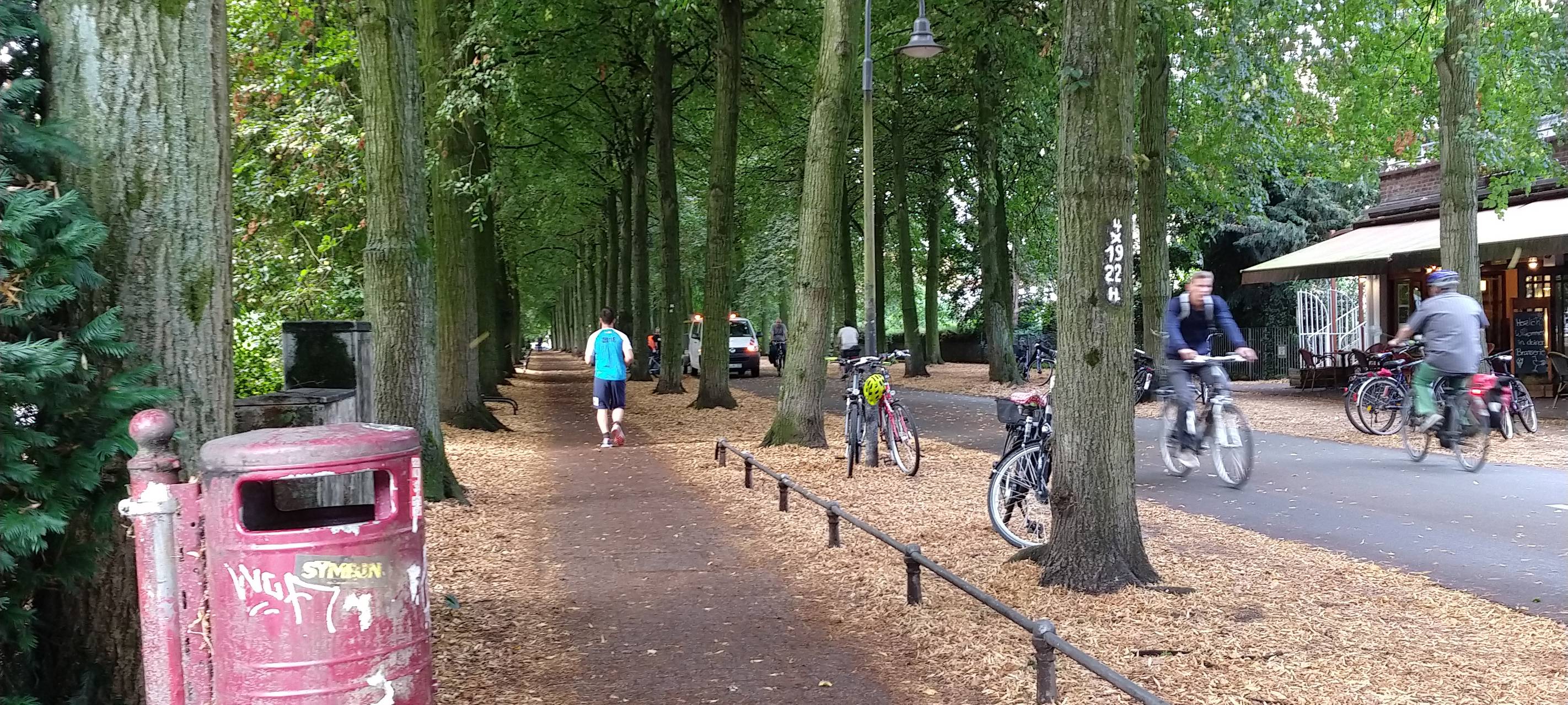 Der Kampf gegen das Laub