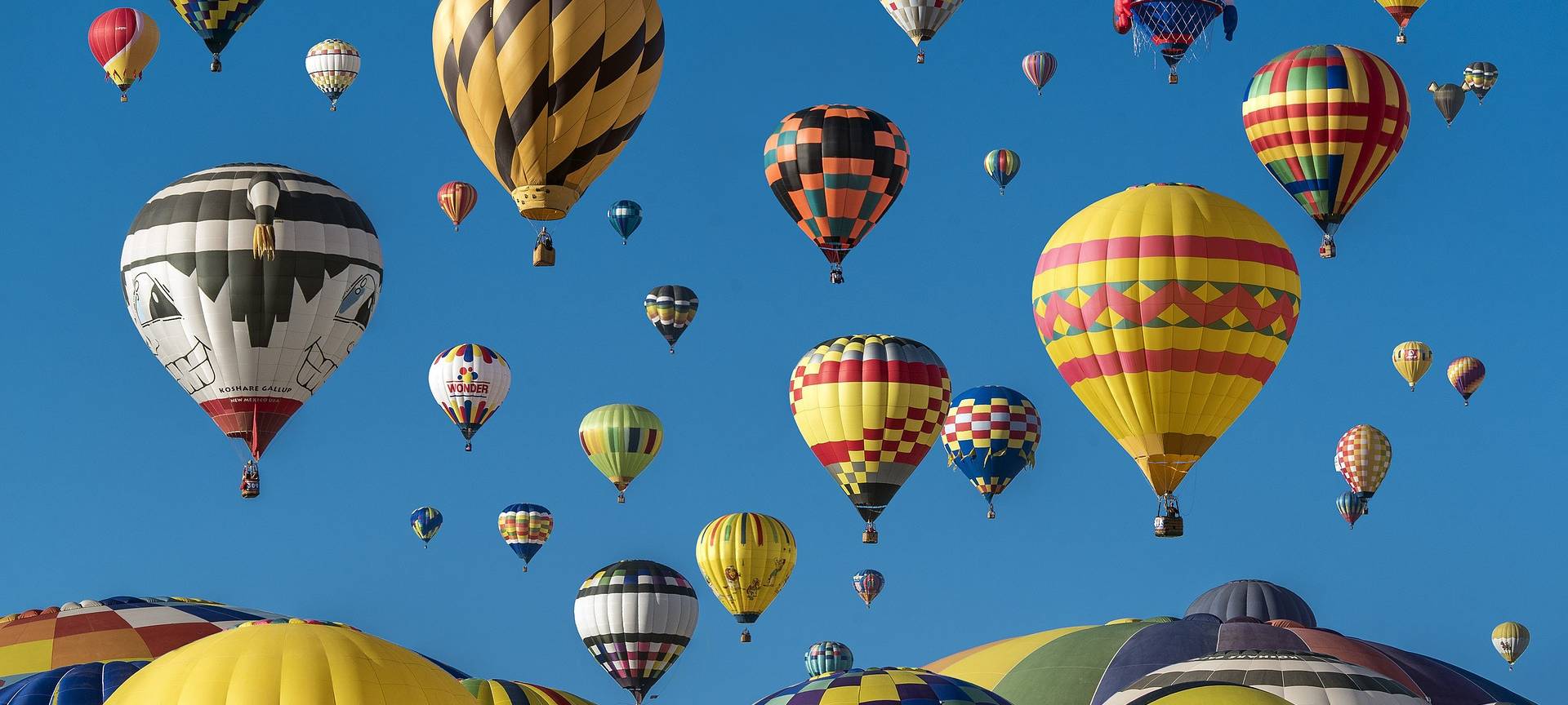 49. Montgolfiade 2019 am Aasee in Münster