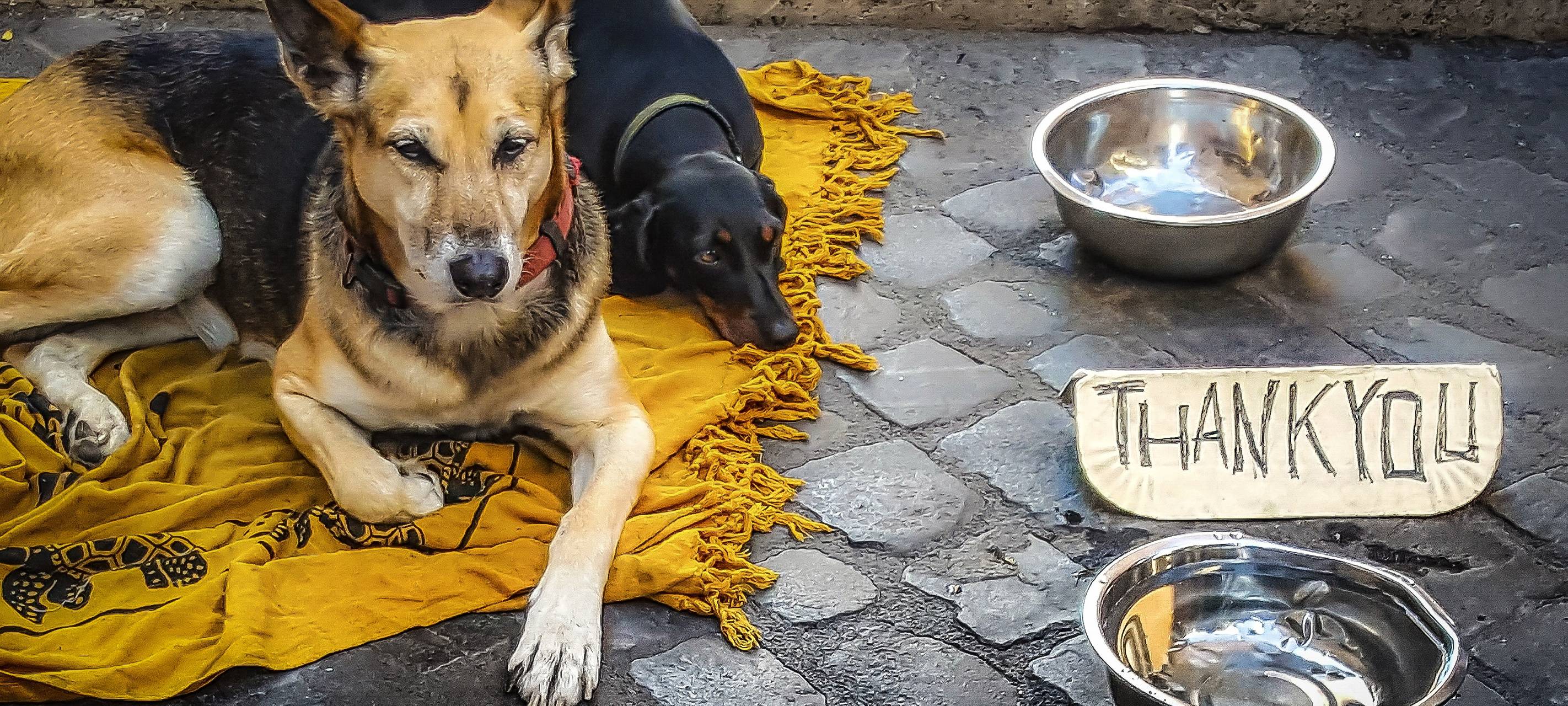 Immer mehr Obdachlose in Münster