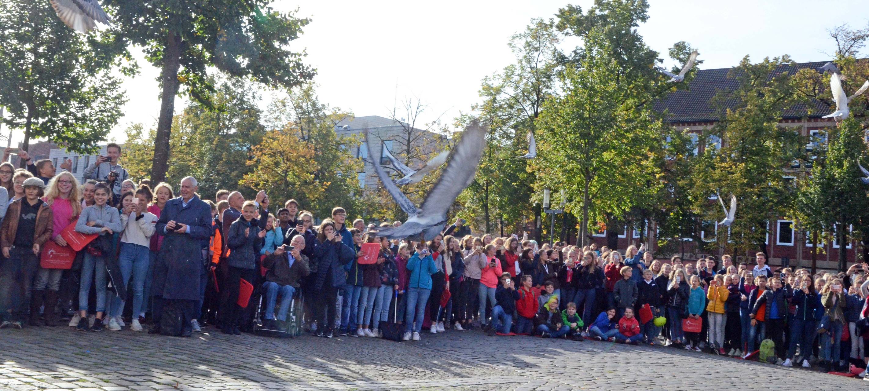 Friedenstauben 50-jähriges Jubiläum Friedensschule