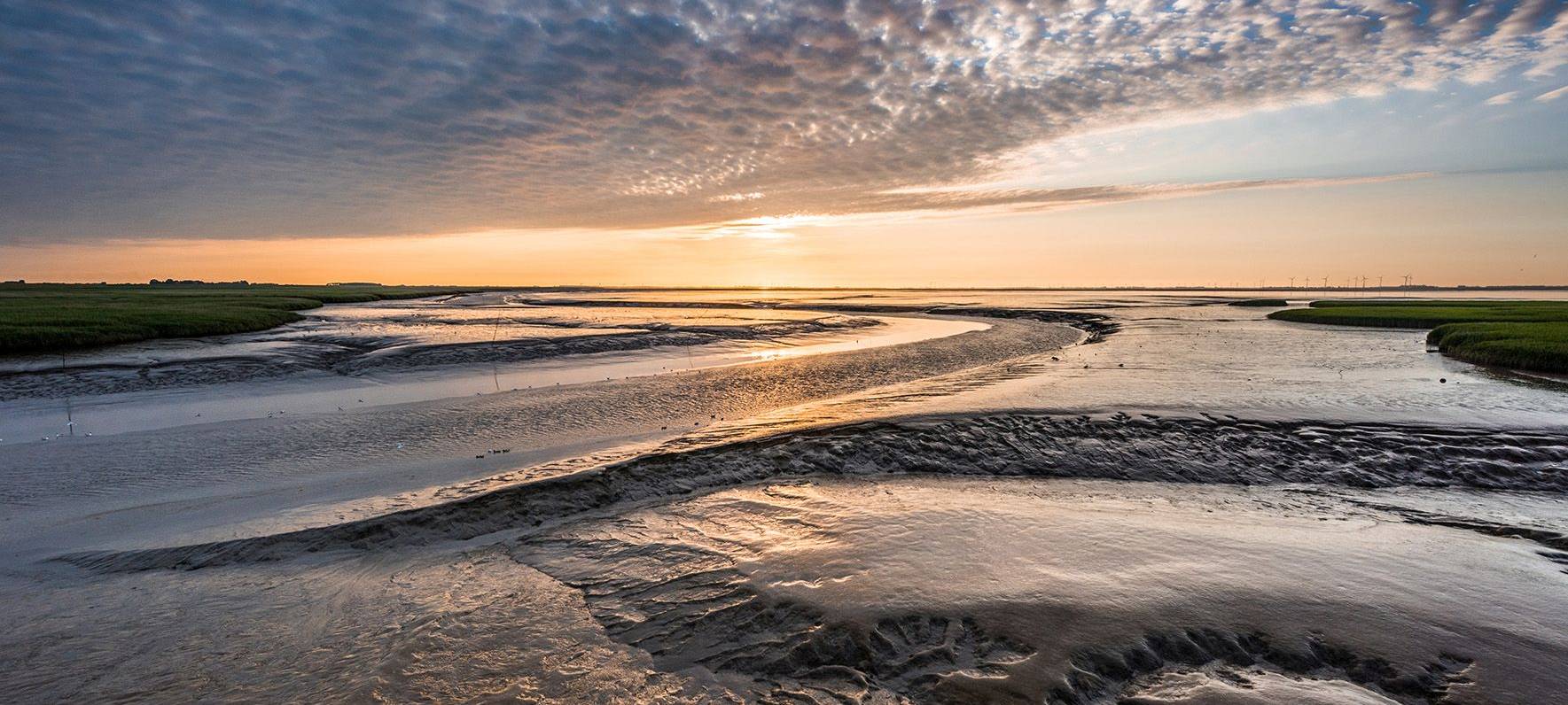 Ausstellung zum Klimawandel geplant