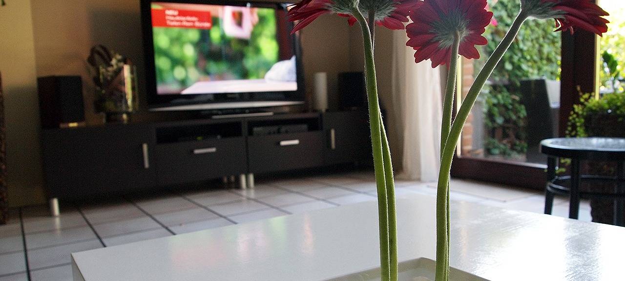 Wohnungssuche zur Fußball-EM: Fans müssen viel Geld einkalkulieren