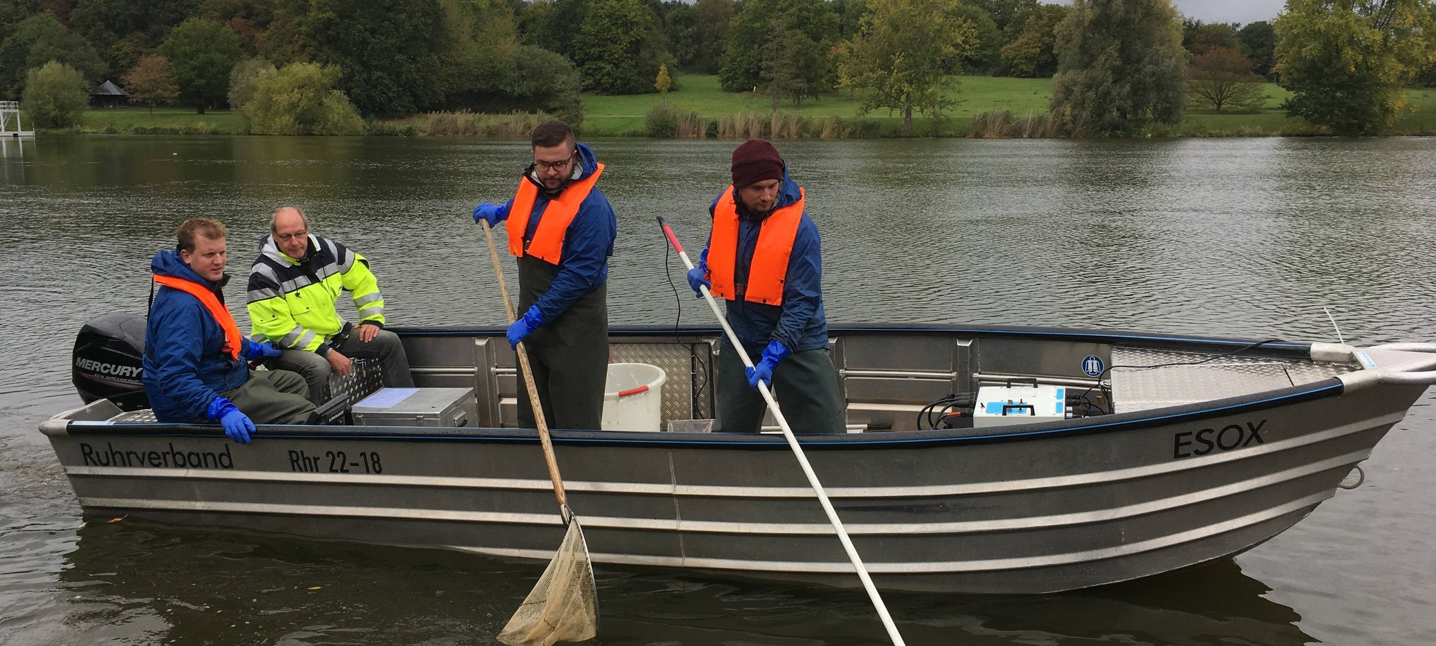 Aaseegutachten: Untersuchung des Fischbestandes