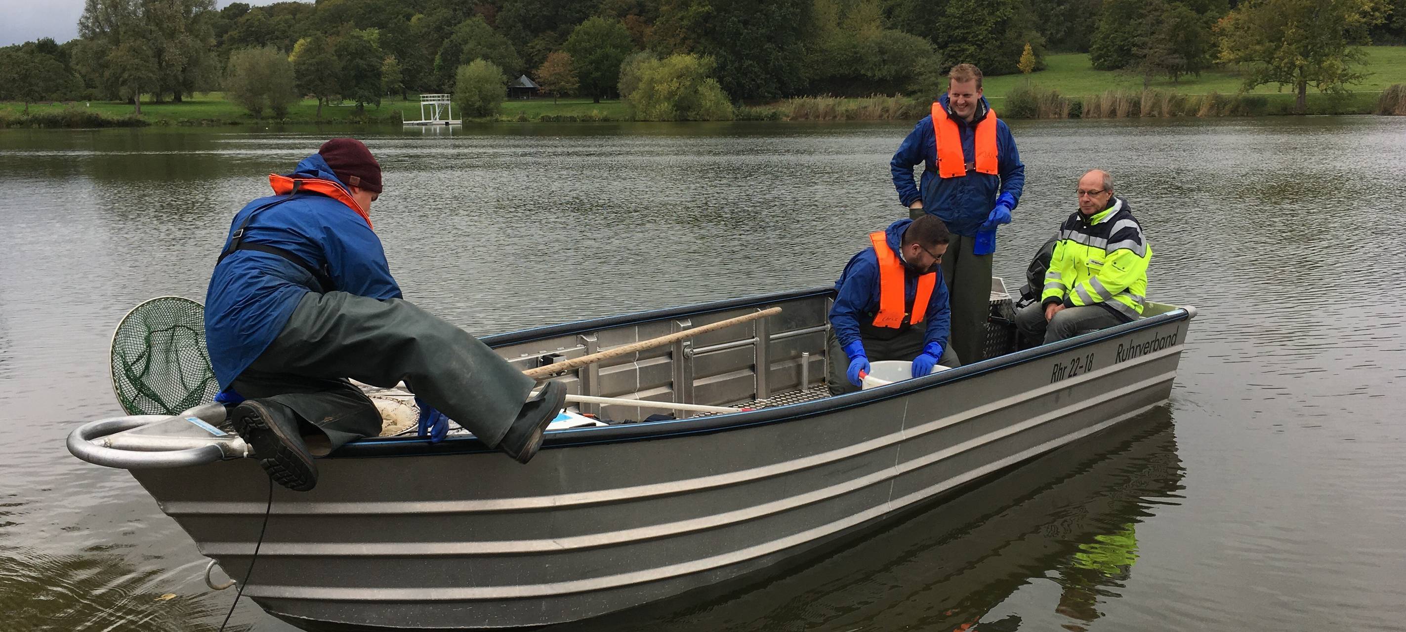Aaseegutachten: Untersuchung des Fischbestandes