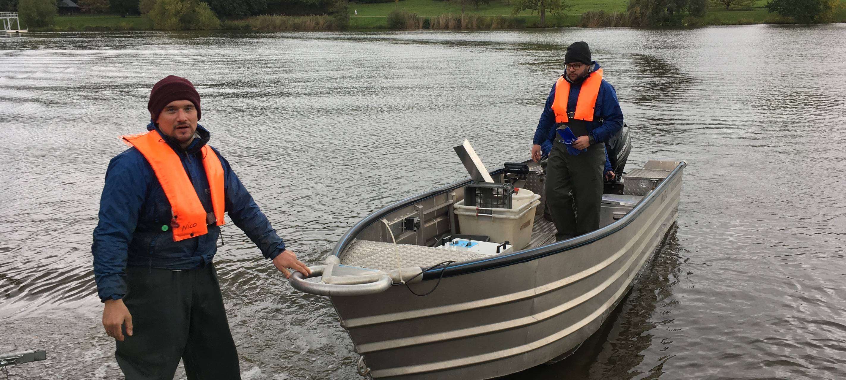 Aaseegutachten: Untersuchung des Fischbestandes