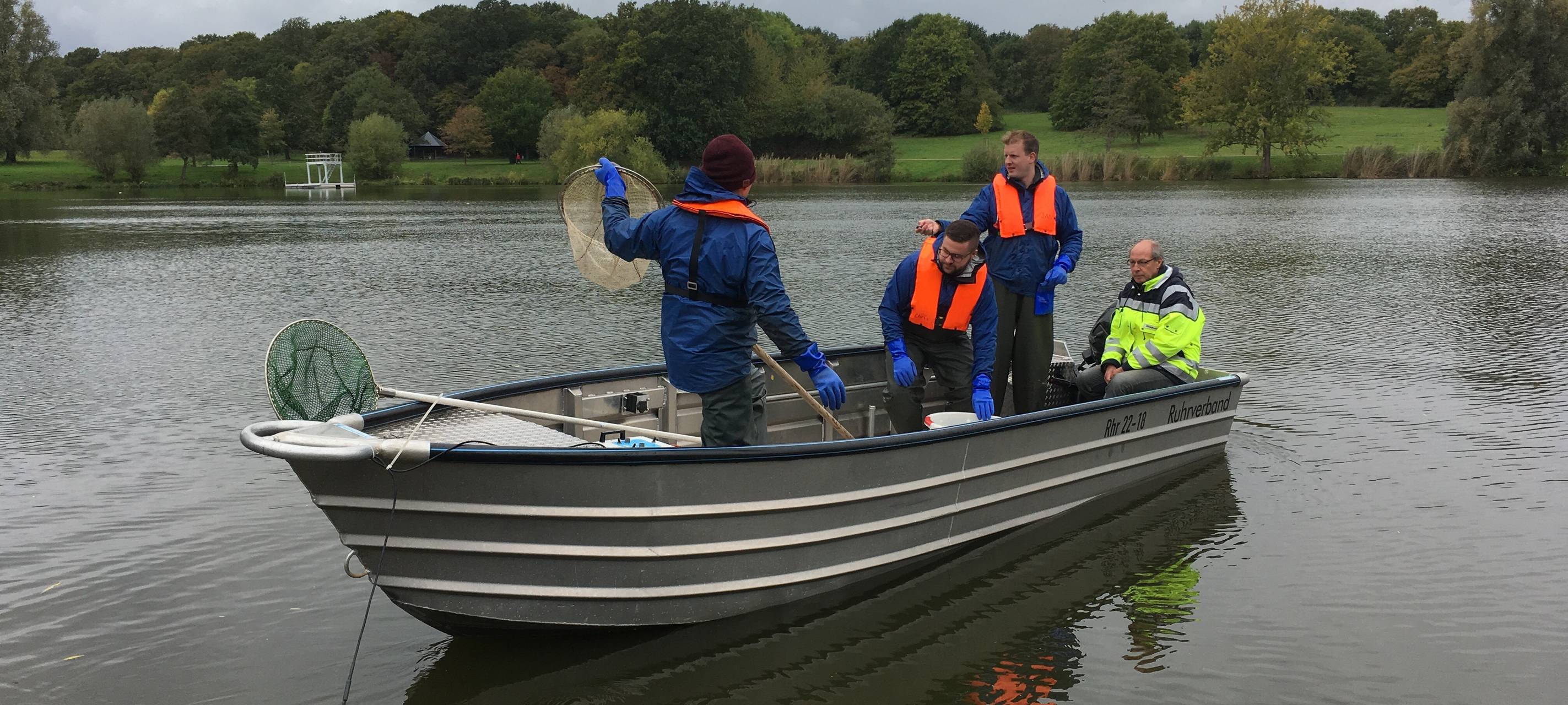 Aaseegutachten: Untersuchung des Fischbestandes