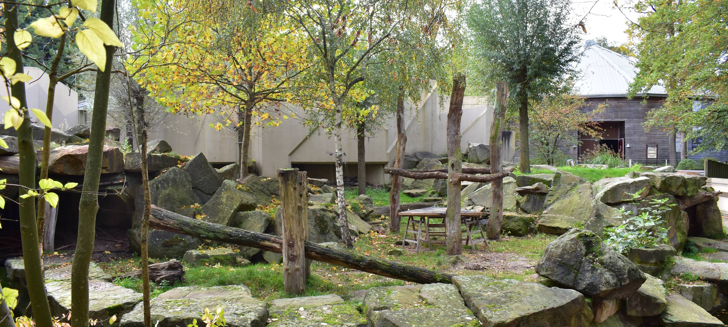 Keine syrischen Braunbären mehr im Allwetterzoo