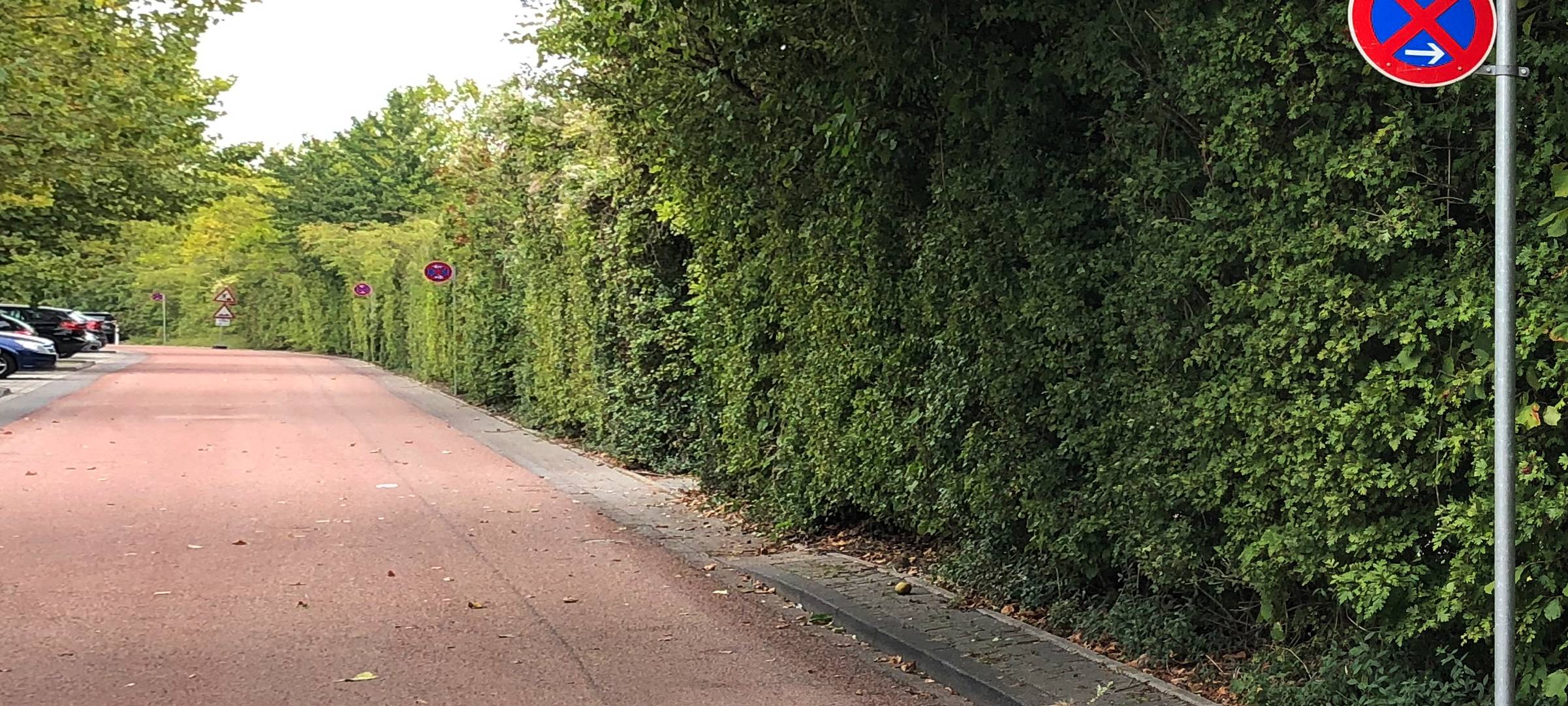 Fahrradstraßen mit wenig Rollwiderstand