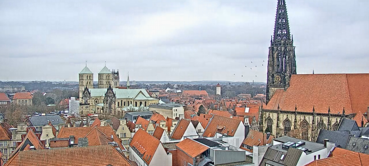 Panoramen für Münster-Fans
