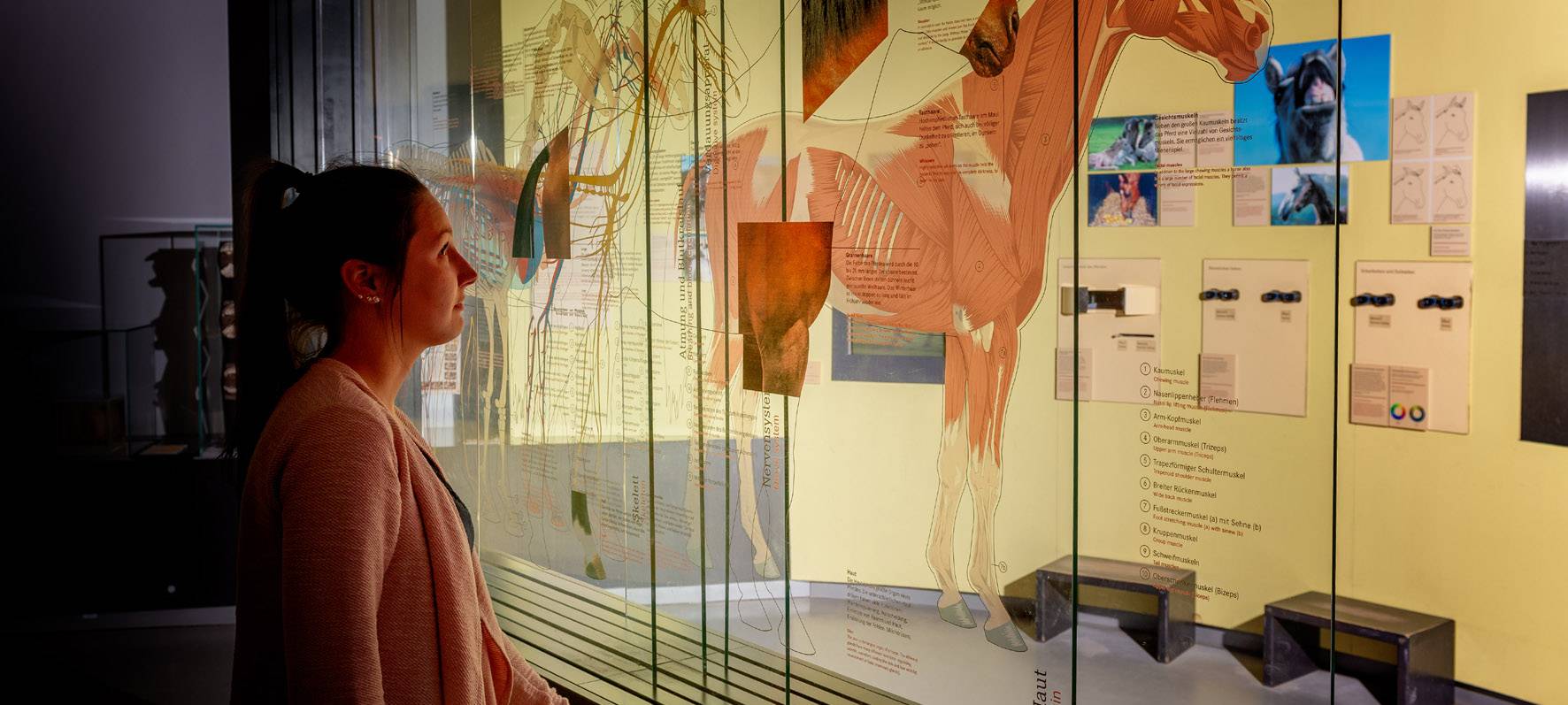 Museen mit 2019 zufrieden