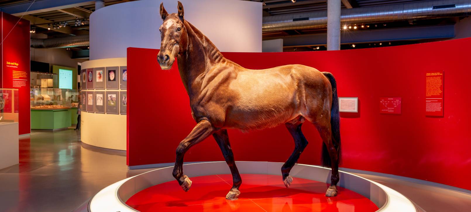 Museen mit 2019 zufrieden