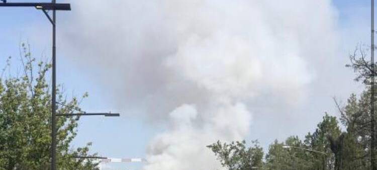Ein halbes Jahr in Australien - trotz der Feuer