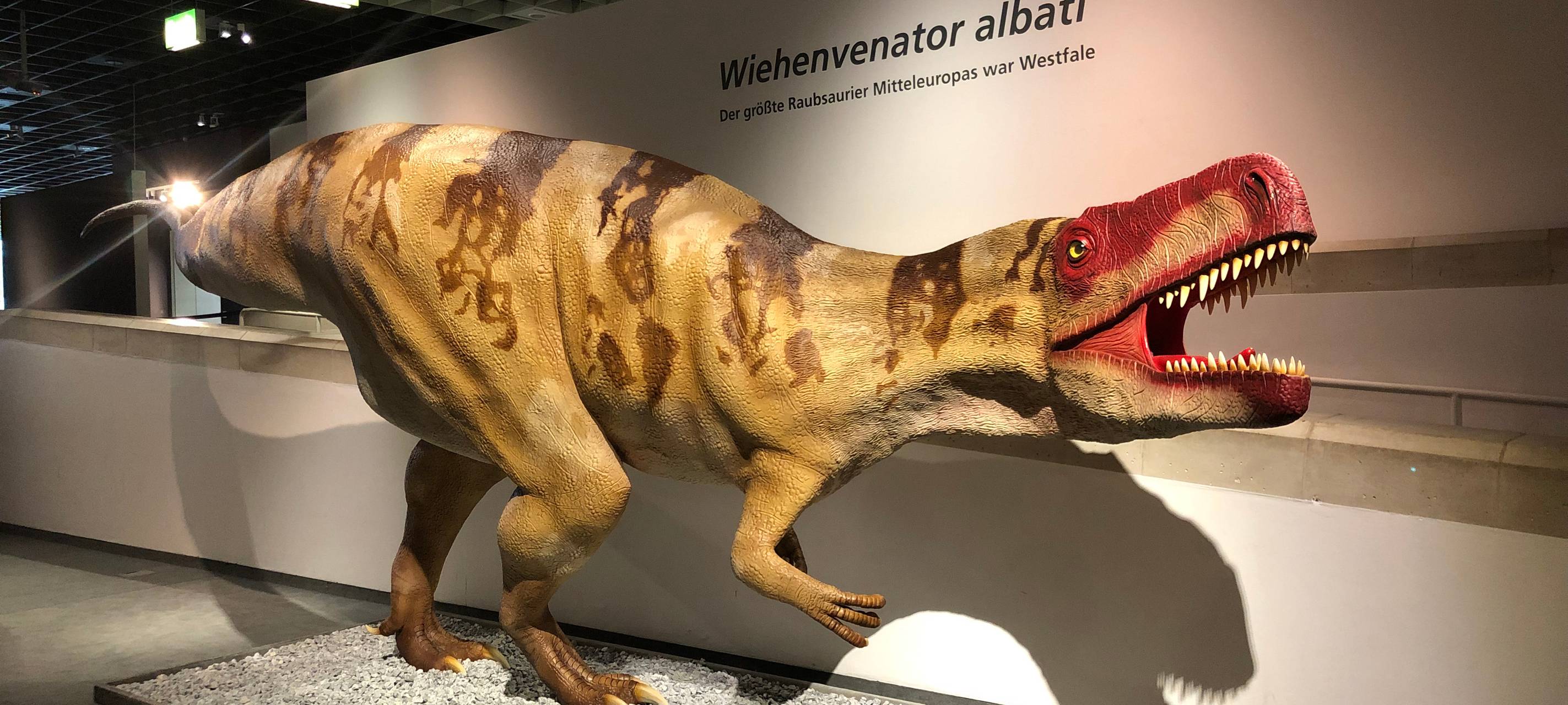 Rekonstruktion des größten Raubsaurier Deutschlands
