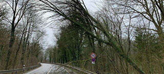 Aufräumen nach "Sabine"