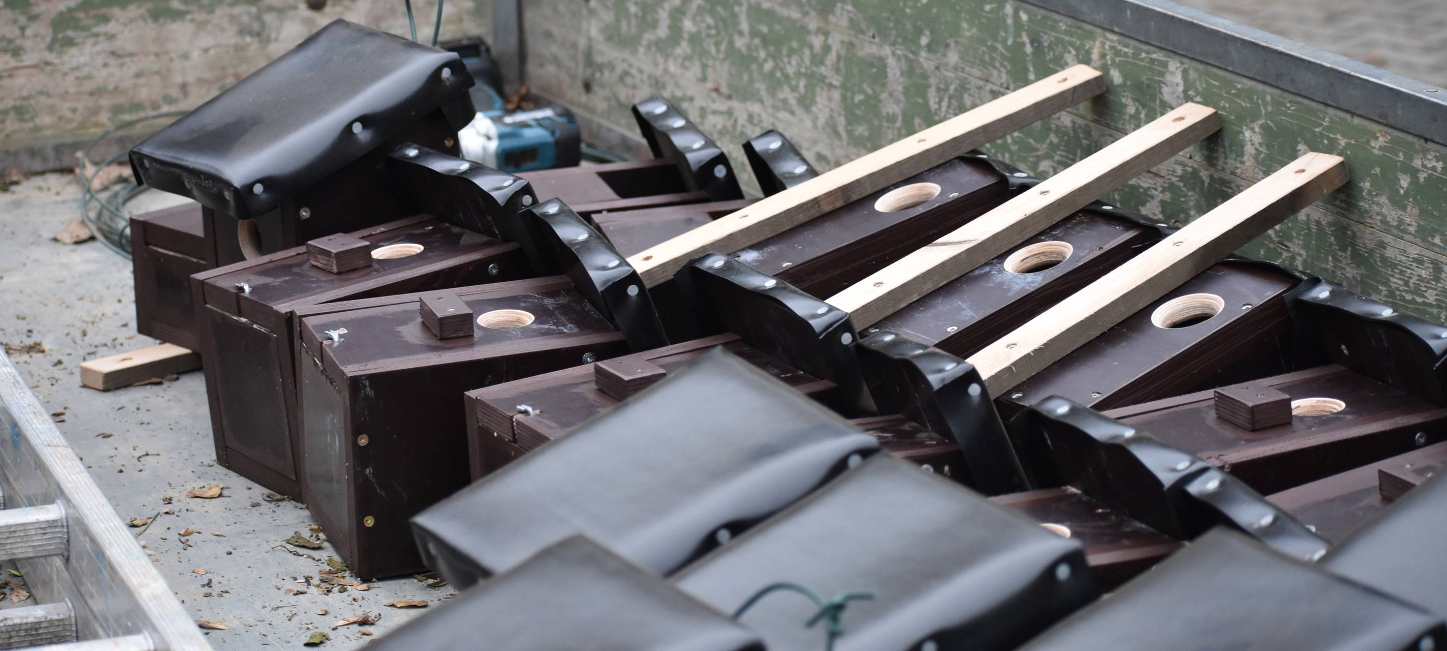 Neuer Wohnraum für gefiederte Gäste