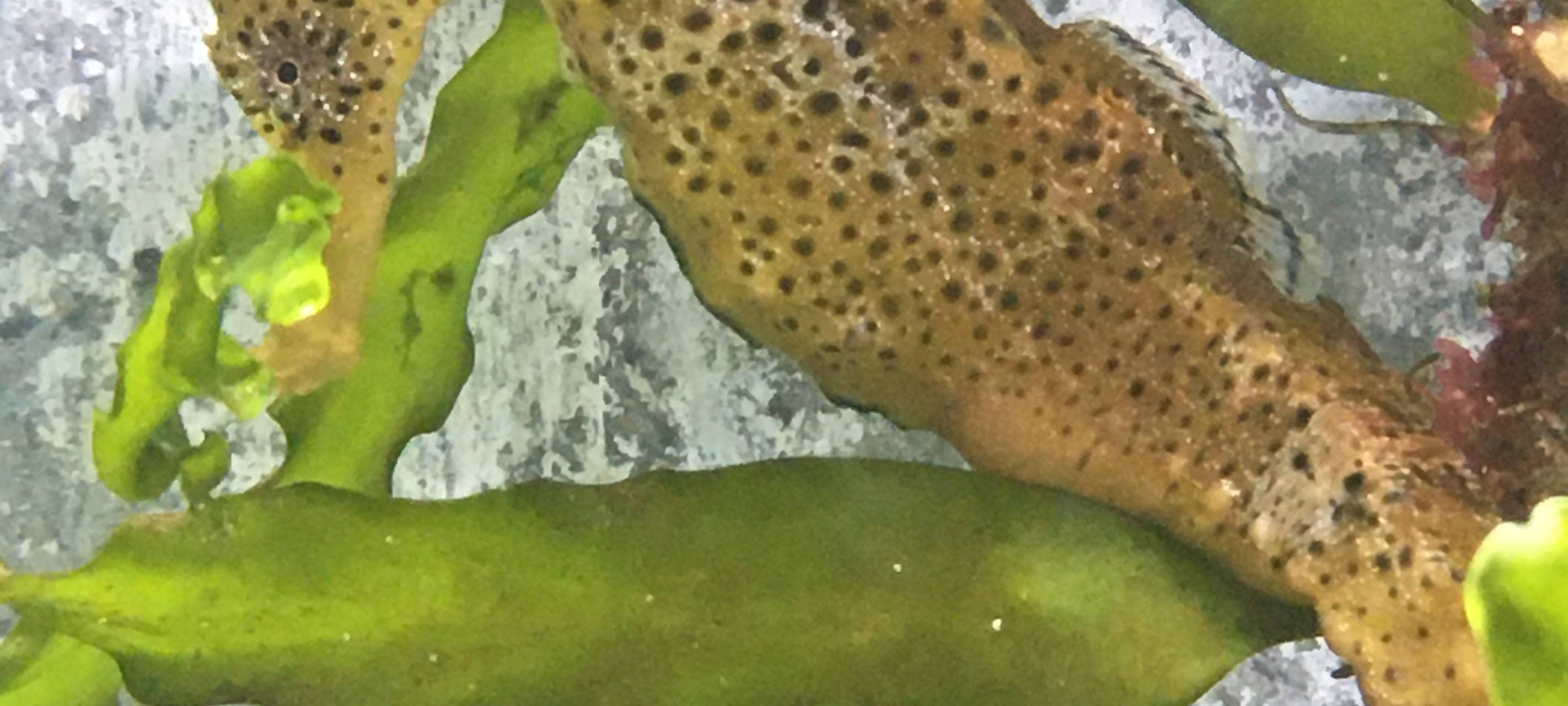 Zuchterfolg im Allwetterzoo